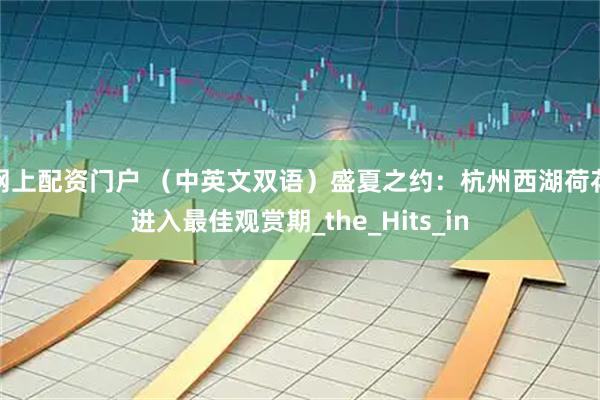 网上配资门户 （中英文双语）盛夏之约：杭州西湖荷花进入最佳观赏期_the_Hits_in