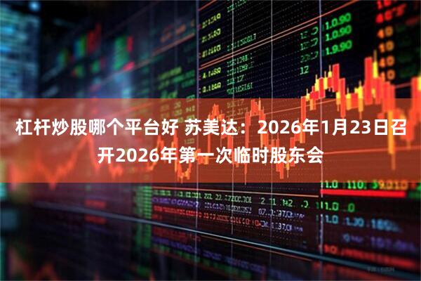 杠杆炒股哪个平台好 苏美达：2026年1月23日召开2026年第一次临时股东会